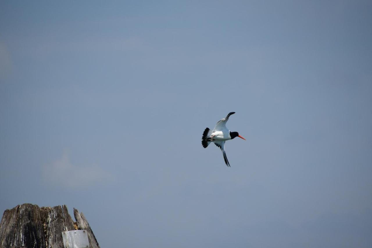 Agriturismo Venice Photobirding Tessera Eksteriør bilde