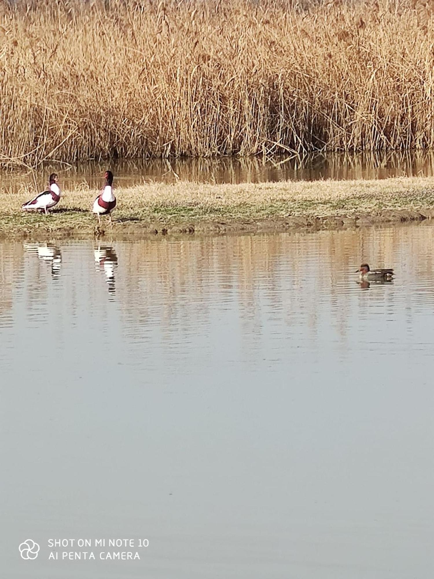 Agriturismo Venice Photobirding Tessera Eksteriør bilde